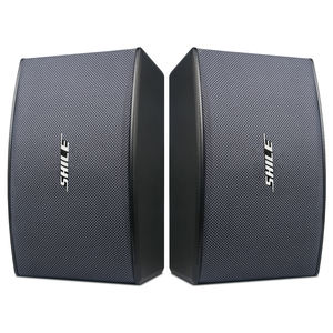 Caisson de basses HiFi 10 pouces haut-parleur passif en bois professionnel (conférence/scène/karaoké/home-cinéma) <span class=keywords><strong>100W</strong></span> - Product Image 5