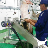 Matadero profesional de ovejas, máquina para desollar cabras para matadero Halal, matadero de cabras