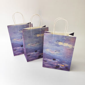 Luxury Promotional Small Business Printed Your Own logo Custom Shopping <b>Paper</b> <b>Bag</b> Retail Clothes Jewelry Large <b>Paper</b> <b>Gift</b> <b>Bag</b> - Product Image 4