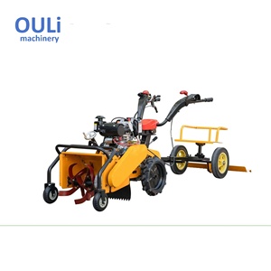 Diserbatrice Semovente Multifunzione per Diserbo, Scavo, Lavorazione Rotativa e Triturazione <span class=keywords><strong>Erba</strong></span> - Product Image 2