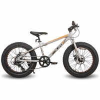 JOYKIE 20 Inch 7 Speed Fatbike for Kids - Fun & Durability