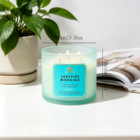 Bougie parfumée de luxe en gros à 3 mèches, mélange de soja, dans un bocal en verre dépoli coloré, pour aromathérapie, bougie d'intérieur, étiquette privée personnalisée