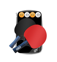 Raquettes de ping-pong avec balles - Ensemble de raquettes de tennis de table avec caoutchouc inversé adhérent pour un meilleur contrôle, pour les jeux en intérieur et en extérieur