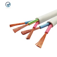 OEM Maßgefertigtes Flexibles RVV-Kabel EN60228 C1-5 Kupferkern PVC-Mantel 450/750V für Bauzwecke Geräteaufladung Frostbeständig