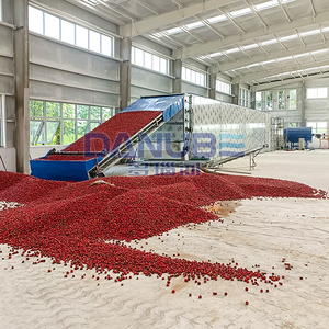 Manufacturer-Priced Mesh Belt Chili Dryer Chili Drying Dehydrator Machine Chili Dehumidifier Equipment - Product Image 3