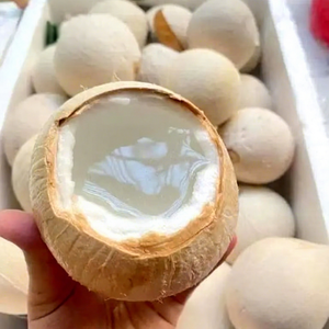 มะพร้าวเวียดนามฉ่ำอร่อย น้ำมะพร้าวสดเพื่อสุขภาพ ออร์แกนิค พร้อมเปลือก ราคาดีที่สุด ลดราคา ยั่งยืน เป็นธรรมชาติ เปลือกแบบเพชร - Product Image 1