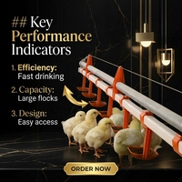 Abreuvoir automatique de mamelon abreuvoir de volaille de poulet Mamelon utilisé dans les fermes avicoles système d'élevage à plat