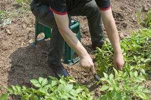 Vente en gros tabouret extérieur pliable en plastique pour <span class=keywords><strong>jardin</strong></span> genouillère <span class=keywords><strong>jardin</strong></span> pelouse plante stockage siège tabouret <span class=keywords><strong>banc</strong></span> avec boîte à outils - Product Image 4