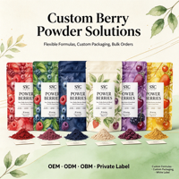 Mélange de graines de baies SYC BIO Power pour le soutien immunitaire des adultes, 150 g, 30 portions, smoothies quotidiens