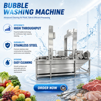 Geavanceerde industriële volautomatische luchtbel-pomp wasmachine motor, food grade, hoge reinigingsgraad, stabiele transportband voor