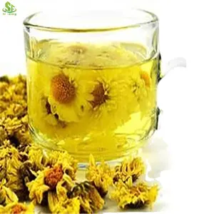 Cinese Anhui herbal gong Huang Indicum tè secco ai fiori di crisantemo