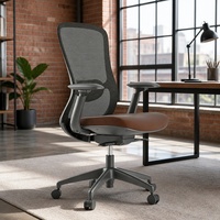 Chaise de bureau ergonomique avec dossier en maille respirante et support lombaire en forme de S, idéale pour une utilisation au bureau