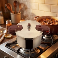 Casserole à pression multi-capacités 3L/4L/5L en acier inoxydable 304 avec un diamètre de 20 cm pour les repas en famille, service OEM ODM
