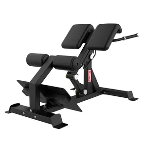 Plate Loaded Machines 45 Extension Hyperextension Back Exercise Abdominal Bench Roman Chair Sports Equipment