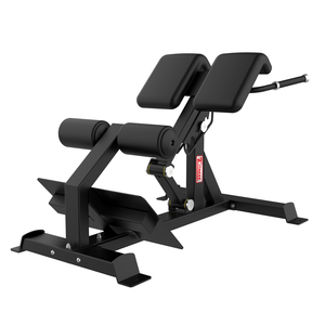 Appareils à charge libre <span class=keywords><strong>pour</strong></span> exercices <span class=keywords><strong>de</strong></span> dos et <span class=keywords><strong>abdominaux</strong></span> : Machine à hyperextension 45°, Banc abdominal, Chaise romaine, Équipement sportif - Product Image 1