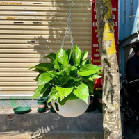 Pot de fleurs suspendu auto-arrosant en plastique PP durable avec réservoir d'eau, prix d'usine, fournisseur OEM, taille 24