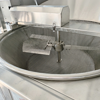 Nouvel équipement de friteuse à pommes de terre et cacahuètes entièrement automatique, commercial, en acier inoxydable 304, électrique/gaz, haute productivité