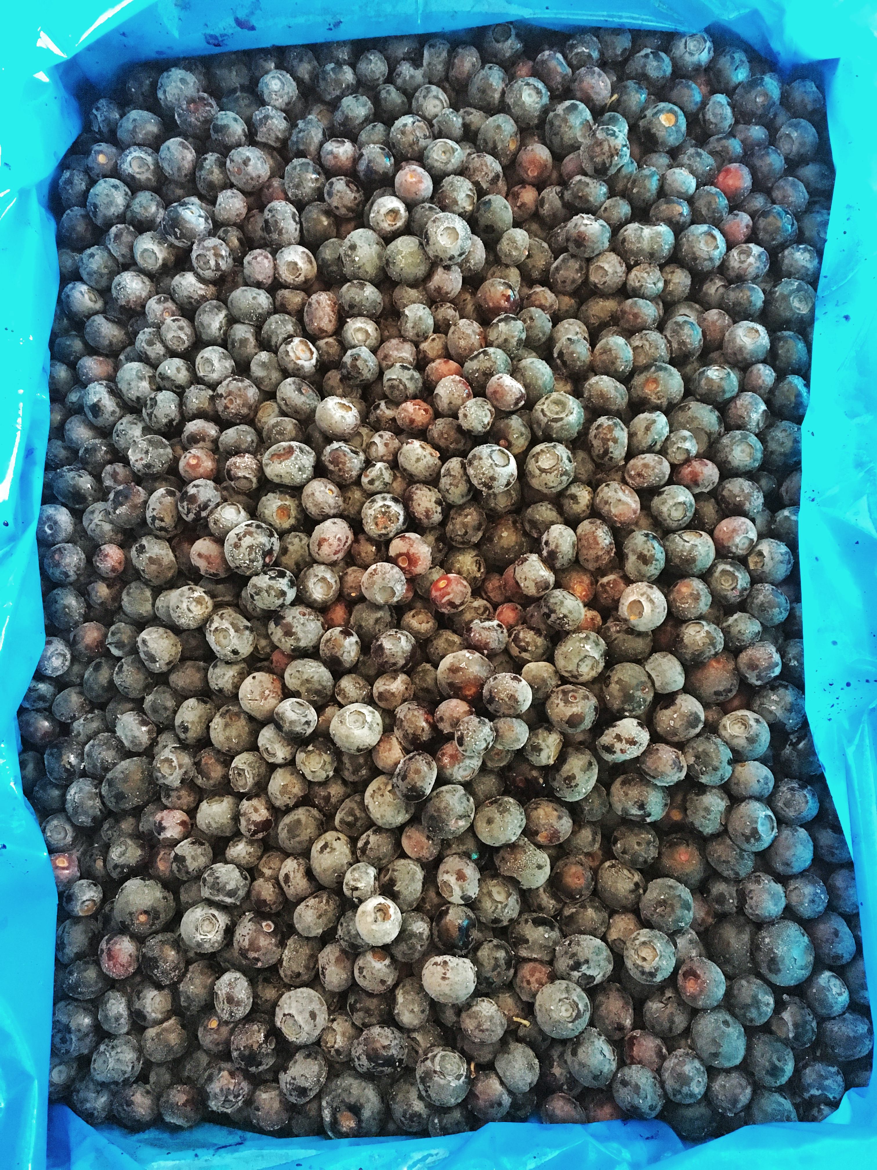 food for free delivery