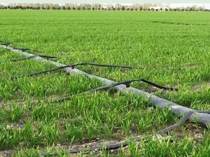 <span class=keywords><strong>Kit</strong></span> d'irrigation <span class=keywords><strong>goutte</strong></span> <span class=keywords><strong>à</strong></span> <span class=keywords><strong>goutte</strong></span> pour la maison système d'irrigation <span class=keywords><strong>goutte</strong></span> <span class=keywords><strong>à</strong></span> <span class=keywords><strong>goutte</strong></span> pour la riziculture <span class=keywords><strong>kit</strong></span> d'irrigation <span class=keywords><strong>goutte</strong></span> <span class=keywords><strong>à</strong></span> <span class=keywords><strong>goutte</strong></span> pour 1 hectare - Product Image 5