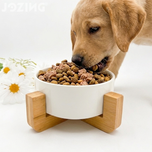 Bol surélevé pour animaux de compagnie en céramique de qualité supérieure avec support en bambou - Plat moderne pour nourriture et eau pour chats et petits chiens, logo personnalisable - Product Image 1