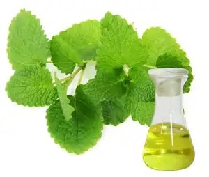 Hot Sell 100% Natural Peppermint Oil CAS No. 8006-90-4 Menthol Menthone