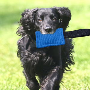 Jouet de dressage pour chien K9 professionnel, résistant aux morsures, en tissu 100% coton écologique et résistant à la déchirure, pour l'agilité et la formation canine. - Product Image 4