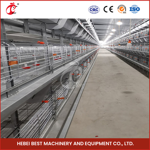 กรงลูกเจี๊ยบ4 tuers H พร้อมระบบอัตโนมัติเต็มรูปแบบ - Product Image 4