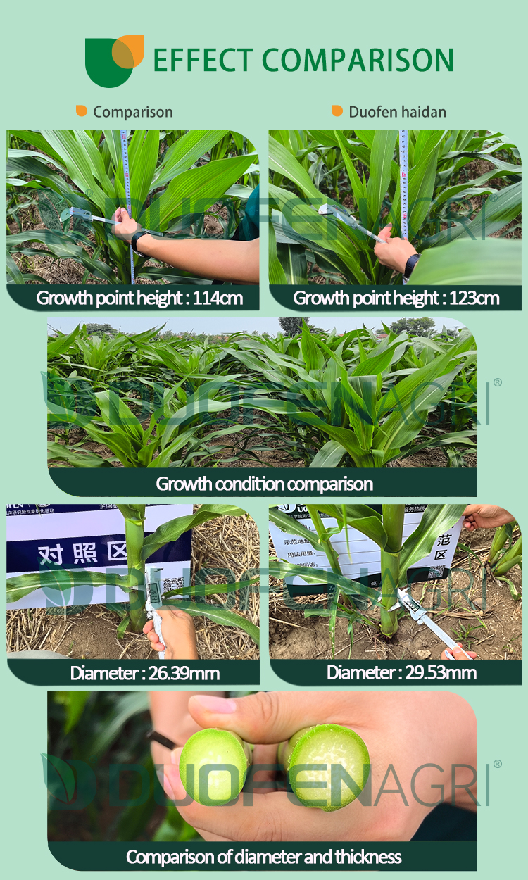 High Nitrogen Humic Acid Liquid Fertilizer Manufacturer image 4