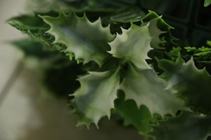 Mới nhất PE nhựa nhân tạo thực vật tường thiết kế tự nhiên tường đồ trang trí 40 cm * 60 cm cỏ cho sự kiện ngoài trời trang trí - Product Image 5