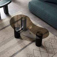 Table basse mobile de style nordique compacte et luxueuse avec structure métallique, mobilier de salon moderne et minimaliste, populaire