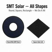 Panneau solaire ETFE mini personnalisé 0,5W 1W 1,7W 3W, module solaire rond en verre 5V 9V 12V 18V pour IoT, GPS, traqueur d'animaux, agriculture intelligente