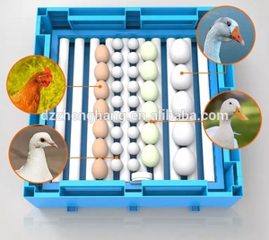 Thiết Kế Mới 64 Trứng <span class=keywords><strong>Mini</strong></span> Lồng Ấp Với Chức Năng WIFI/Bán Chạy Nhất <span class=keywords><strong>Mini</strong></span> Lồng Ấp Trứng Để Bán - Product Image 5