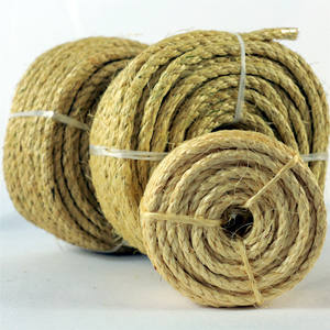 <span class=keywords><strong>Cuerda</strong></span> <span class=keywords><strong>de</strong></span> yute <span class=keywords><strong>de</strong></span> <span class=keywords><strong>Sisal</strong></span> Natural para envolver invernadero, <span class=keywords><strong>cuerda</strong></span> <span class=keywords><strong>de</strong></span> <span class=keywords><strong>Sisal</strong></span> trenzada <span class=keywords><strong>de</strong></span> buena calidad, precio barato, 100m, 200m - Product Image 4