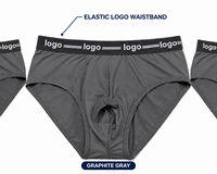 Slips pour hommes personnalisés modernes en 90 % polyester extensible, taille mi-haute, doux, respirants, confortables au quotidien, ajustement parfait, vente en gros