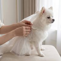 Vêtements de luxe formels pour chiens, style smoking de mariage, marque privée, pour créateurs de boutiques pour animaux de compagnie, vente en gros