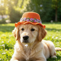 Sombrero de Paja Bordado para Mascotas, Perros y Gatos, Protección Solar para Verano, Gorra Transpirable para Mascotas