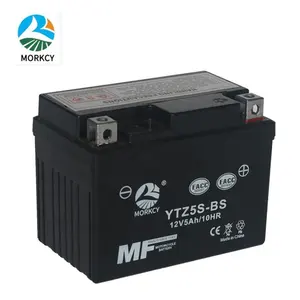 YTZ5S-BS Ắc Quy Xe Máy Trực Tiếp Từ Nhà Máy Ắc Quy Axit Chì Không Bịt Kín Bảo Trì 12V 5ah/10 Giờ Sử Dụng Cho Đông Nam Á