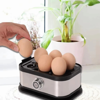 Cuiseur à œufs intelligent et compact de haute qualité avec logo personnalisé, en acier inoxydable, pour la maison