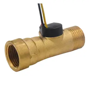 Micro Brass Pipe Magnetic Fluid Water Flow Sensor