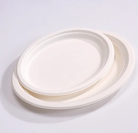 Assiettes jetables en bagasse, 150 pièces, 23 cm, rondes, blanches, écologiques, biodégradables, vaisselle de fête, fabriquées en Chine