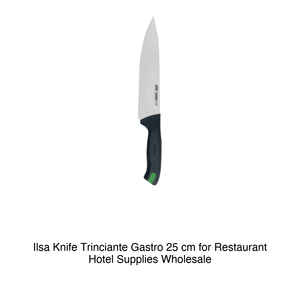 Cuchillo Trinciante Ilsa Gastro de 25 cm para Restaurantes, Suministros para Hoteles, Venta al por Mayor - Product Image 2