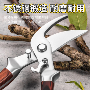 Yu Jian <b>Pruning</b> Shears Stainless Steel 5.2cm Rosewood Handle Butterfly Structure For Fruit <b>Trees</b> - Product Image 3