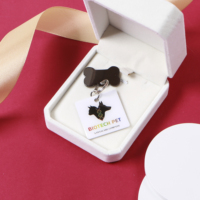 Personalisierte Hunde-ID-Tags, doppelseitig tiefgraviert, Edelstahl, Naturstein-Charm-Form, Frosting-Verfahren
