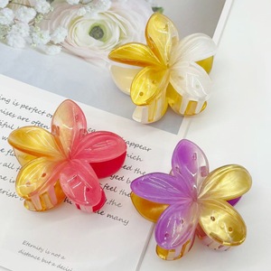 Pinces à cheveux pour femmes en plastique dégradé de couleur estivale, fleurs de <span class=keywords><strong>frangipanier</strong></span> colorées, accessoires mignons pour filles - Product Image 2