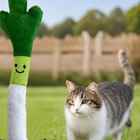 Jouet en peluche à la cataire pour chat, en forme de poireau, interactif, à mâcher, pour chatons d'intérieur, vente en gros, enrichissement ludique