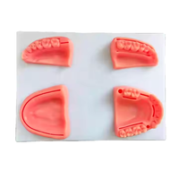 Kit de suture dentaire orthodontique chirurgicale Kit de pratique de modèle de suture dentaire