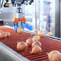 Industriële uienpeller op grote schaal, uien snijmachine, knoflookpoedermachine, gember- en uienpoeder productielijn