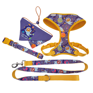 Personal isierte niedliche Regenbogen Druck Designer Farbkontrast Hund Bandana Hunde geschirr Halsband und Leine Set mit benutzer definierten Druck - Product Image 5