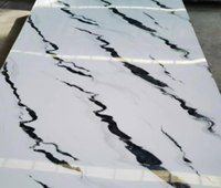 Panneau mural en PVC durable effet marbre avec protection UV pour la décoration intérieure commerciale