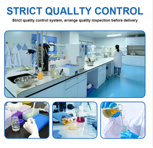 Proteína en Polvo Personalizada al por Mayor para el Desarrollo Muscular, Aumento de Masa Muscular, Impulso de Energía para Adultos, Nutrición Deportiva, Suplementos para Gimnasio - Product Image 6